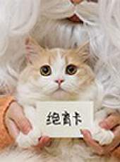 花花與三貓最新一期線上看_全集完整版高清線上看_好看的綜藝