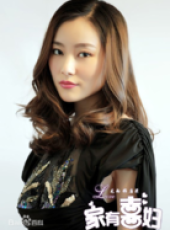家有喜婦線上看_全集高清完整版線上看_分集劇情介紹_好看的電視劇