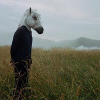 sparklehorse圖片照片_sparklehorse
