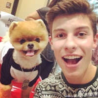 Shawn Mendes圖片照片_Shawn Mendes