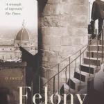 Felony圖片照片
