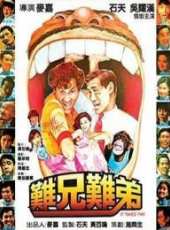 泰迪·羅賓最新電影_泰迪·羅賓電影全集線上看_好看的電影