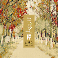 三步一停