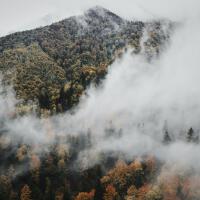 Tijme Schrauwen最新專輯_新專輯大全_專輯列表