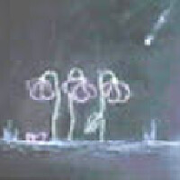 Sixteen Cities圖片照片_Sixteen Cities