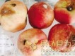 Moldy Peaches[發霉的桃子]圖片照片