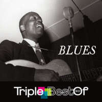 Triple Best Of Blues專輯_John Lee HookerTriple Best Of Blues最新專輯