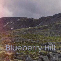 Blueberry Hill專輯_Fats DominoBlueberry Hill最新專輯
