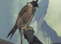 You're Nothing (+ 2)專輯_IceageYou're Nothing (+ 2)最新專輯