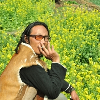 肖巢圖片照片_肖巢