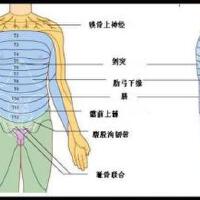 B.T. Express個人資料介紹_個人檔案(生日/星座/歌曲/專輯/MV作品)