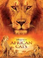 非洲大貓線上看_高清完整版線上看_好看的電影