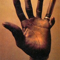 Hound Dog Taylor圖片照片_Hound Dog Taylor