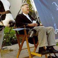 David Lynch圖片照片_David Lynch