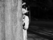 程璧圖片照片_程璧