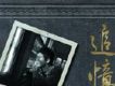 追憶(Emotion in Memory