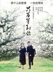 陶玉玲演過的電影電視劇線上看_影視作品大全_好看的明星