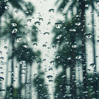 Rainy Sounds圖片照片_照片寫真