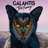 true feelin專輯_Galantistrue feelin最新專輯