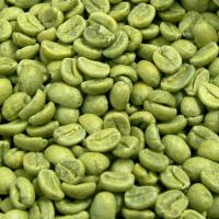 Green Coffee圖片照片