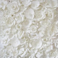White圖片照片_White