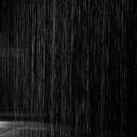 黑雨圖片照片_嘿羽