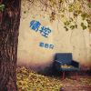 覃春泉歌曲歌詞大全_覃春泉最新歌曲歌詞