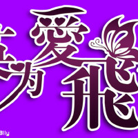 愛飛圖片照片_愛飛
