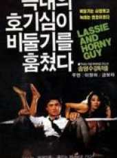 李英河演過的電影電視劇線上看_影視作品大全_好看的明星
