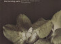 The Burning Paris最新歌曲_最熱專輯MV_圖片照片