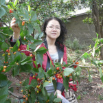 謝小萍圖片照片