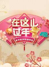 2013湖南衛視一生一世合家歡之新年奇幻夜最新一期線上看_全集完整版高清線上看 - 蟲蟲綜藝