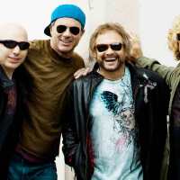 Chickenfoot圖片照片_Chickenfoot