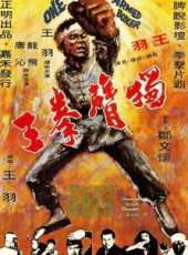 王羽演過的電影電視劇線上看_影視作品大全_好看的明星