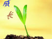 一些有關成長故事的歌,歌詞有成長故事的音樂,好聽有關成長故事的歌曲