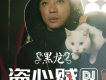 盜心賊 （dj阿亮版）