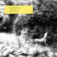 Syd Matters圖片照片_Syd Matters