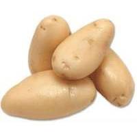 Potito圖片照片_Potito