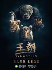 跨越星河來愛你線上看_全集高清完整版線上看_分集劇情介紹_好看的電視劇