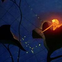 Fantasia圖片照片_Fantasia