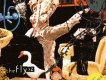 蒼蠅歌曲歌詞大全_蒼蠅最新歌曲歌詞
