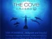 海豚灣 The Cove