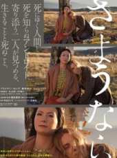 新井浩文演過的電影電視劇線上看_影視作品大全_好看的明星