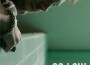 Bastian Baker最新歌曲_最熱專輯MV_圖片照片