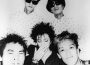 Forever Plastico專輯_PlasticsForever Plastico最新專輯