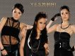 Y.E.S.圖片照片