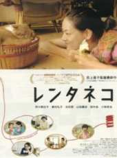 田中圭演過的電影電視劇線上看_影視作品大全_好看的明星