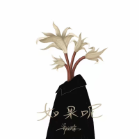 Aria