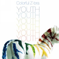 Colorful Z-bra圖片照片_Colorful Z-bra