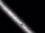 走失專輯_楊民謠走失最新專輯